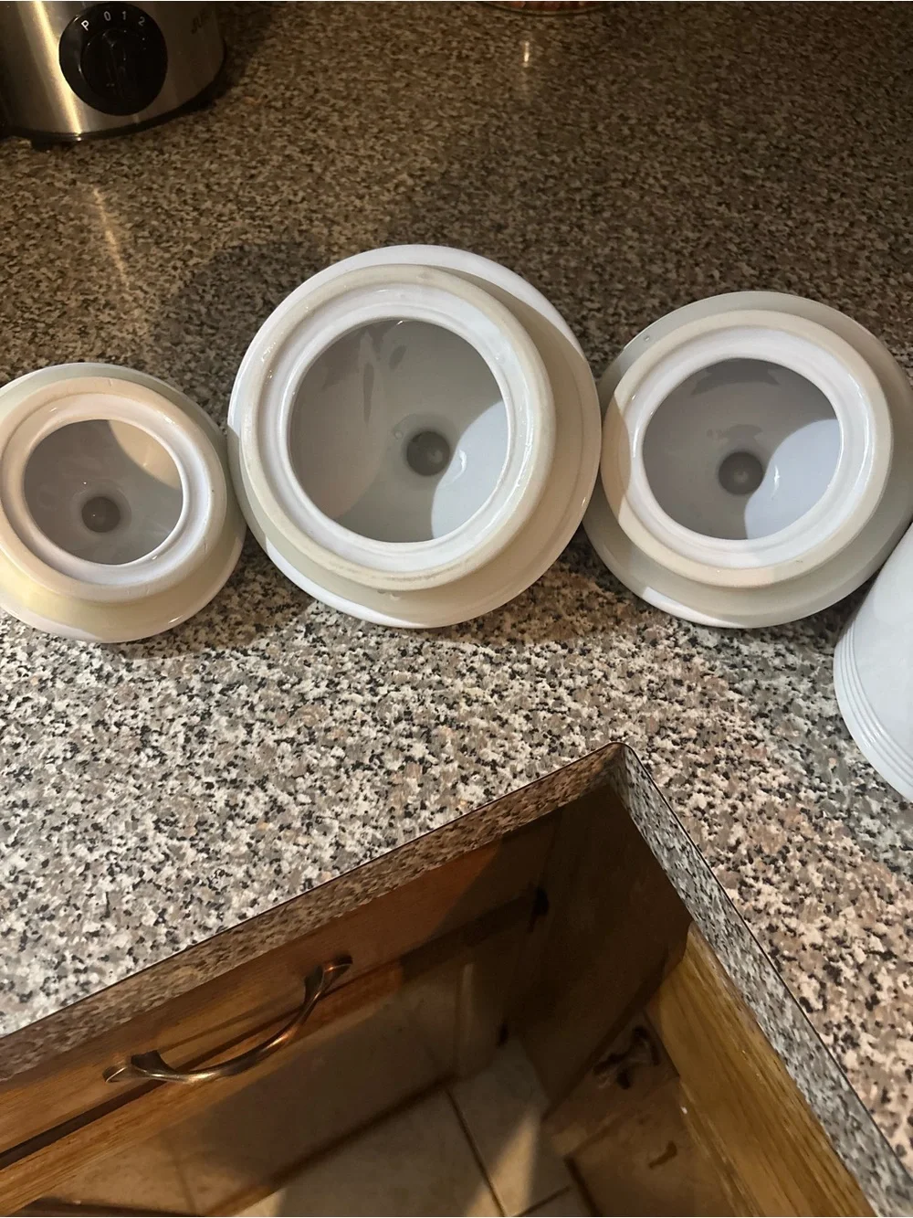 White Ceramic Canister Set with Floral Magnolias